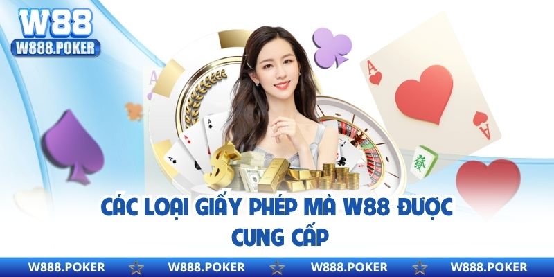 Các loại giấy phép mà W88 được cung cấp